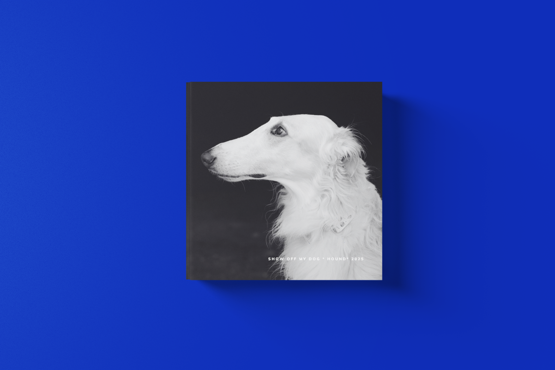 HOUND