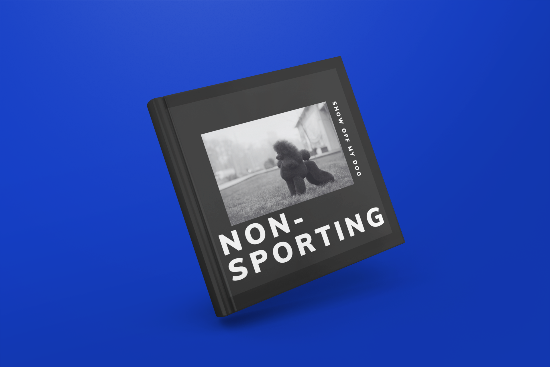 NON-SPORTING