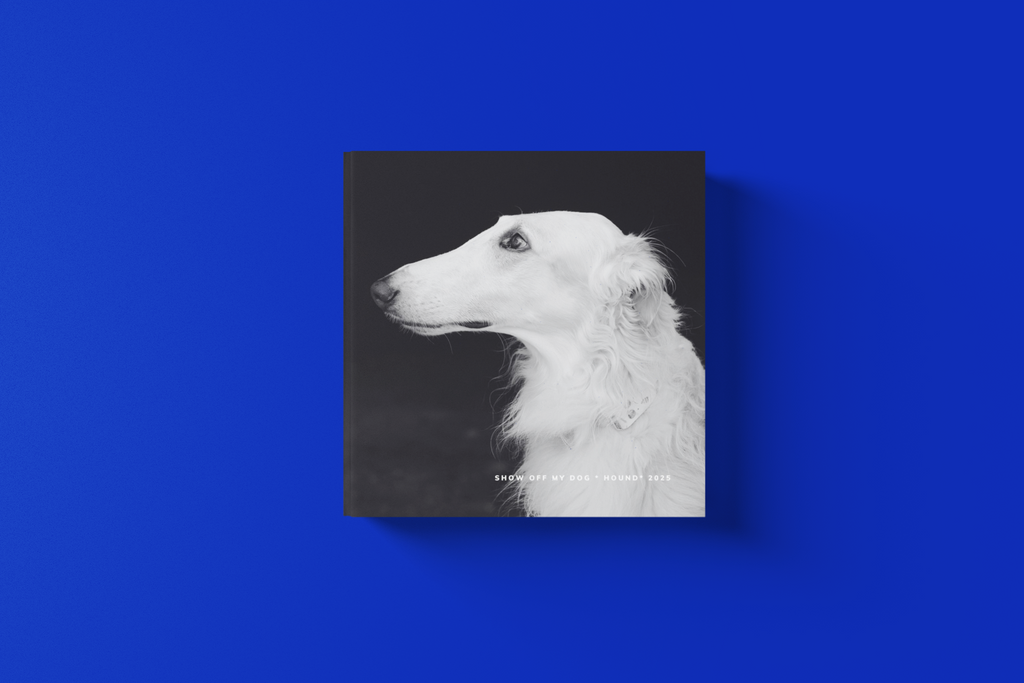HOUND