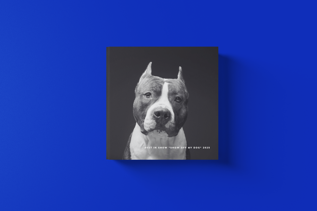 BEST IN SHOW