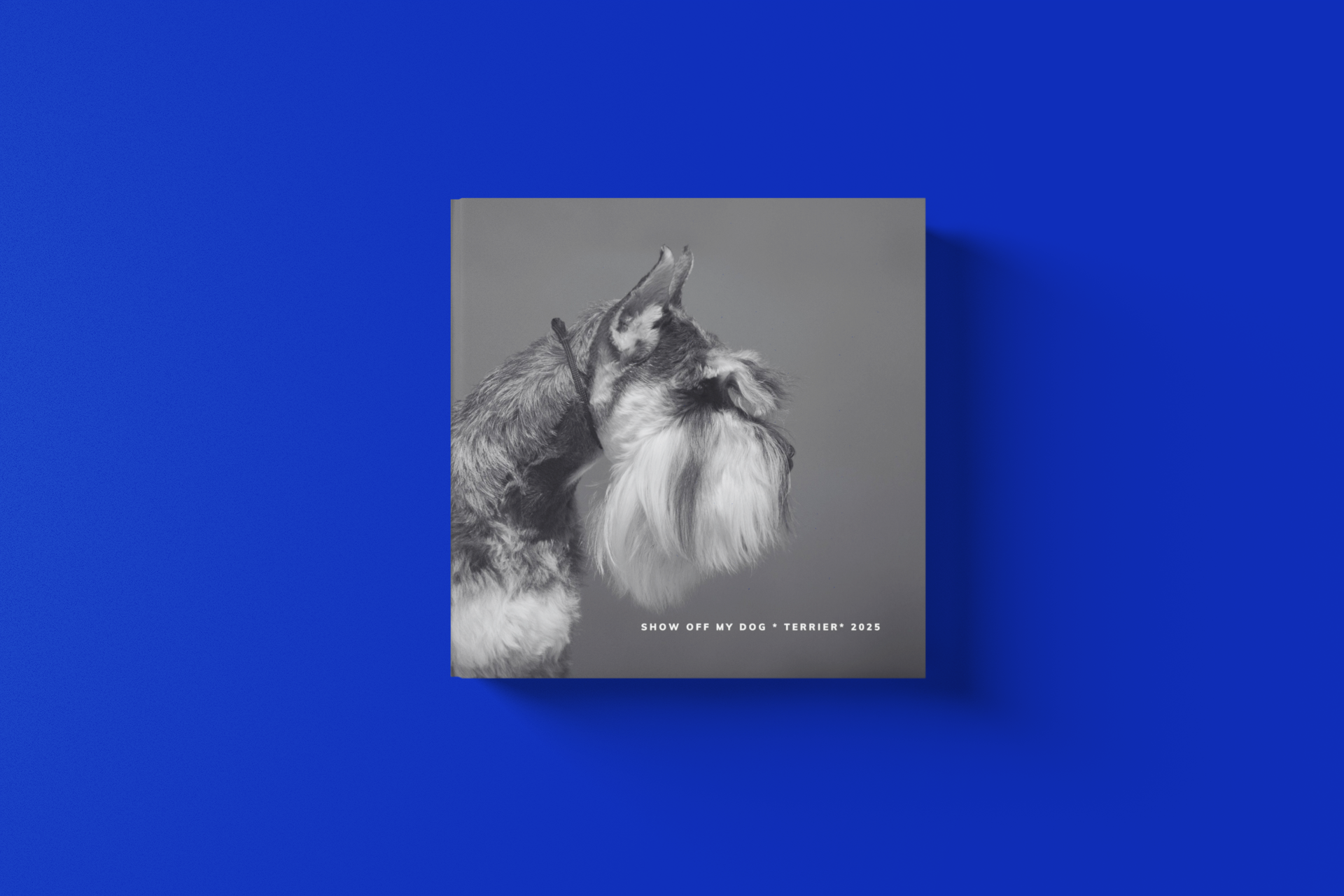 TERRIER