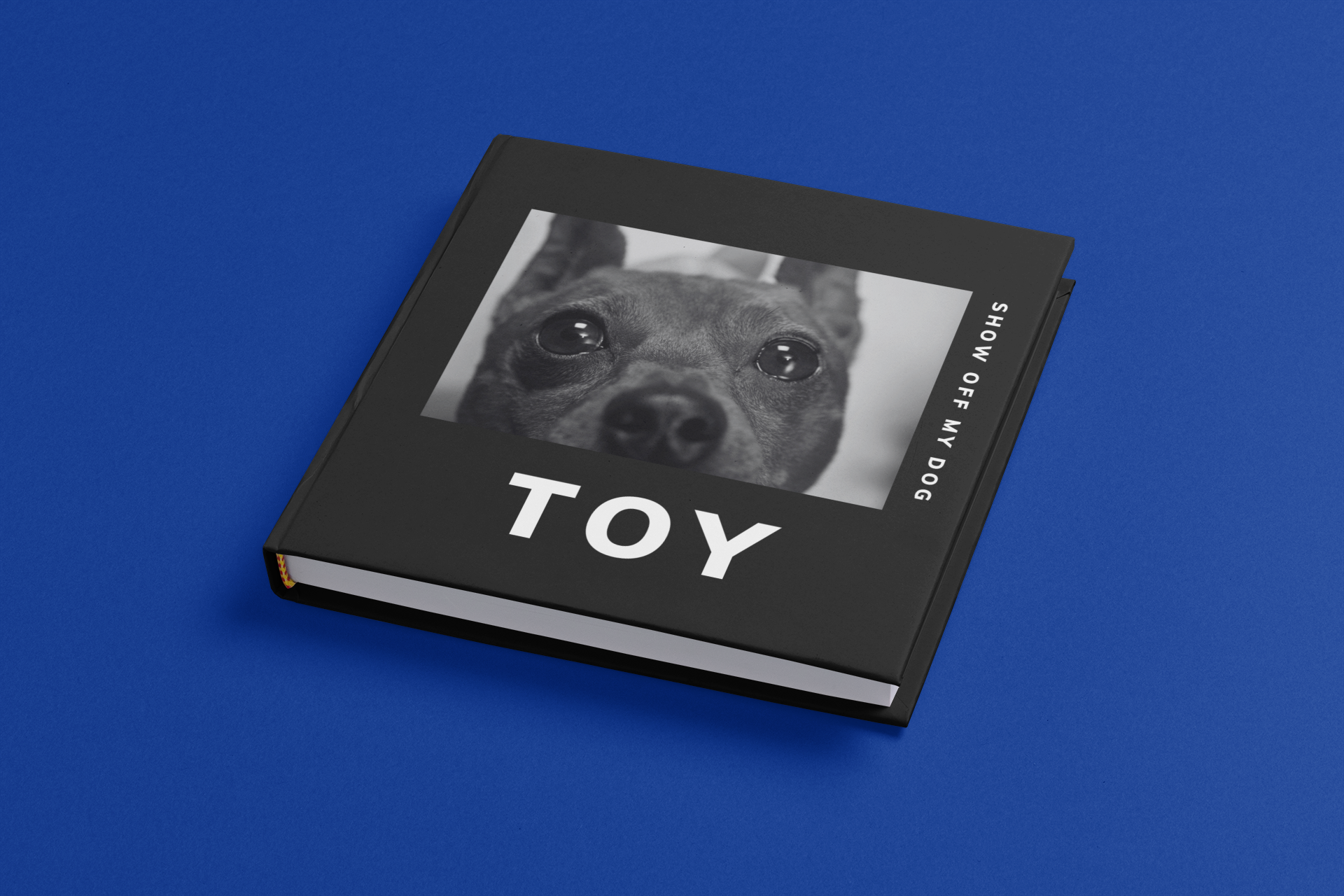 TOY