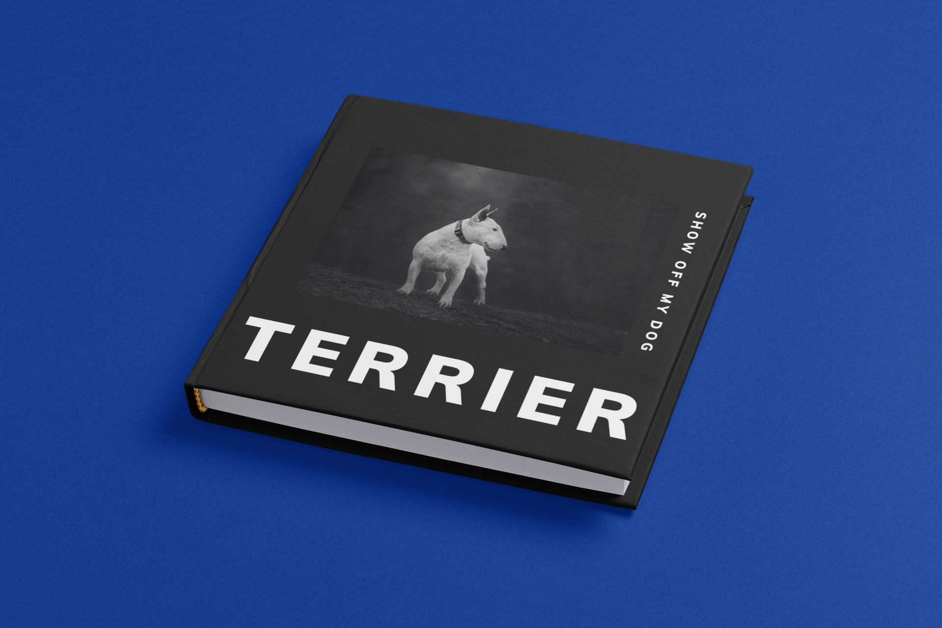 TERRIER