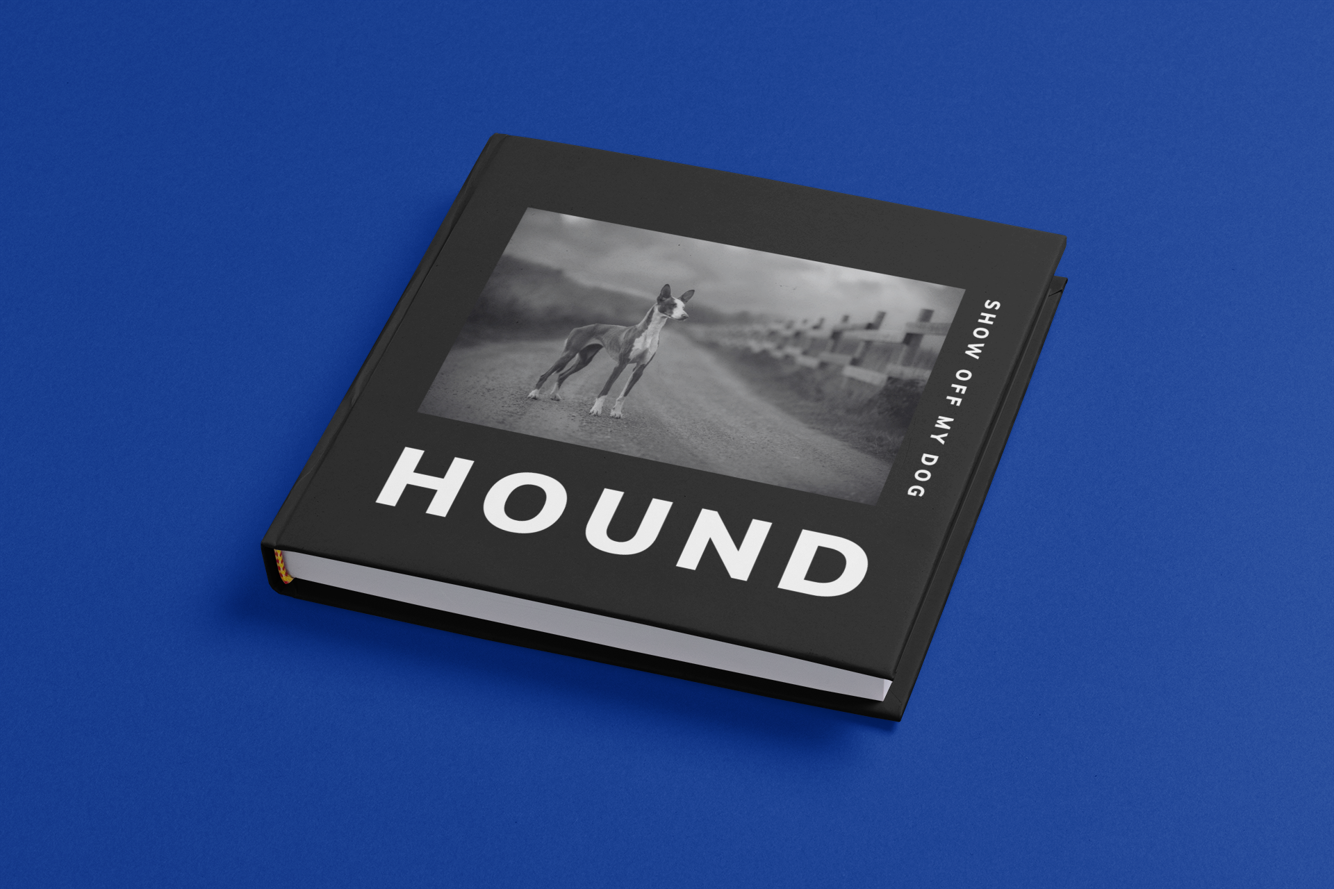 HOUND