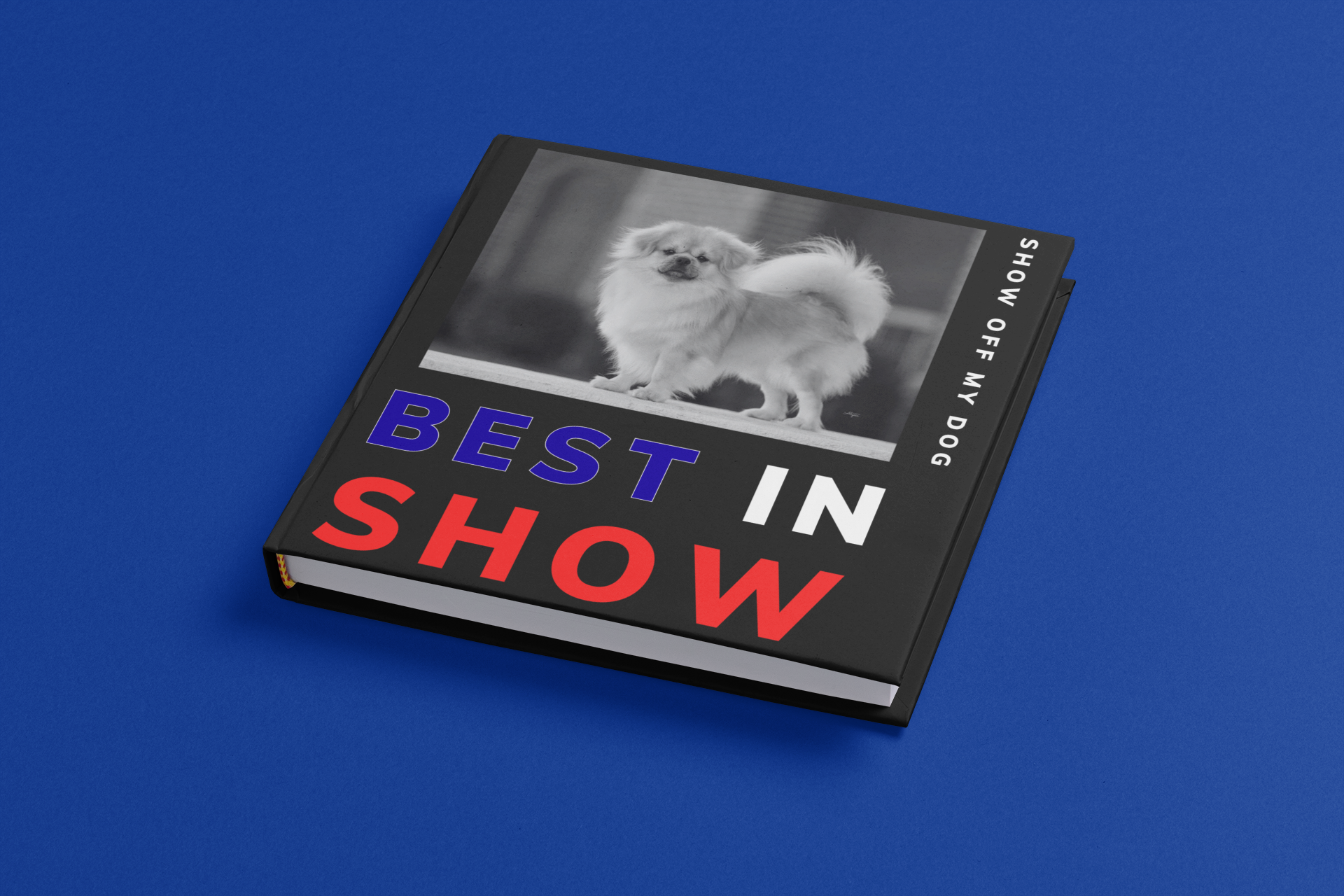 BEST IN SHOW
