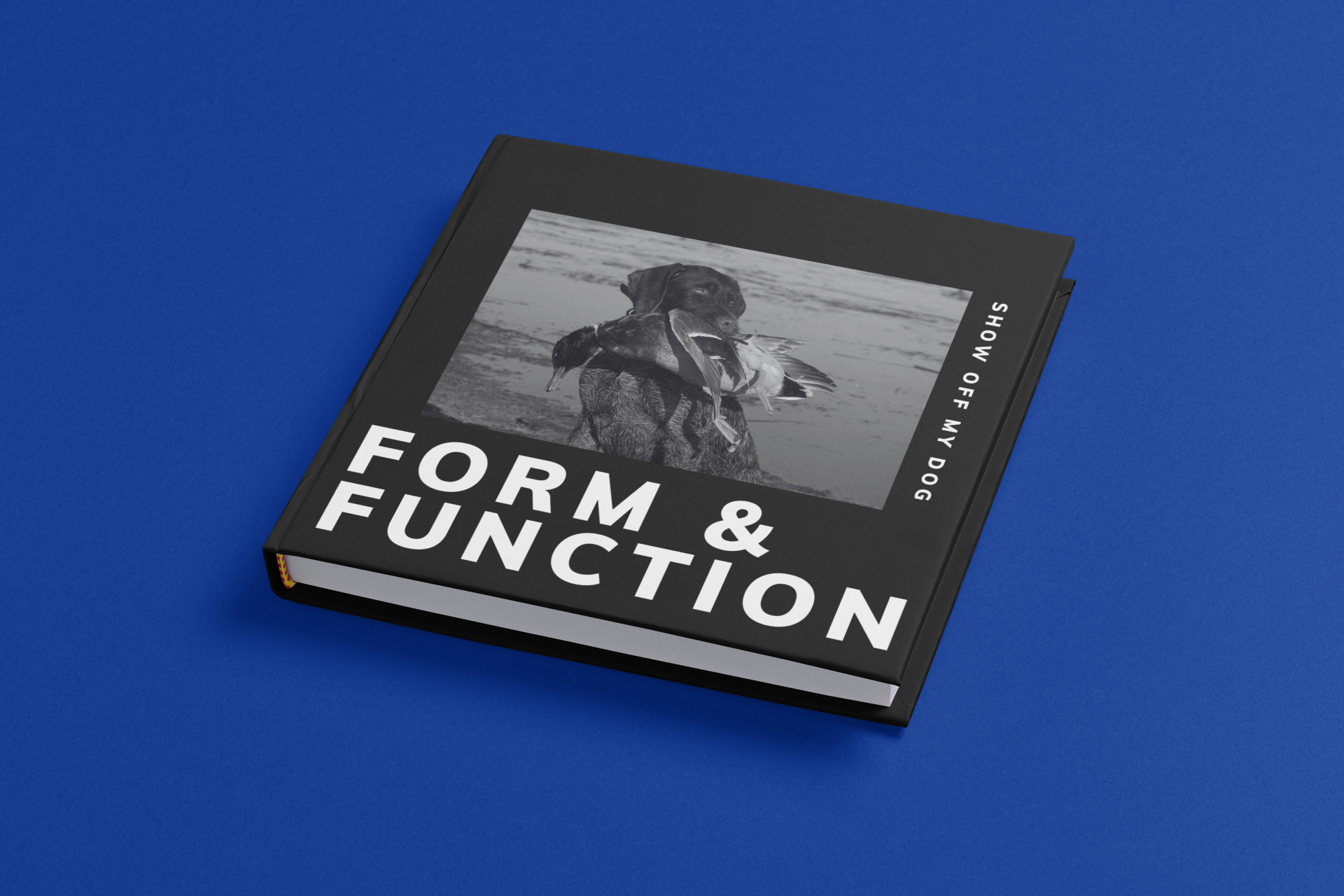 FROM & FUNCTION