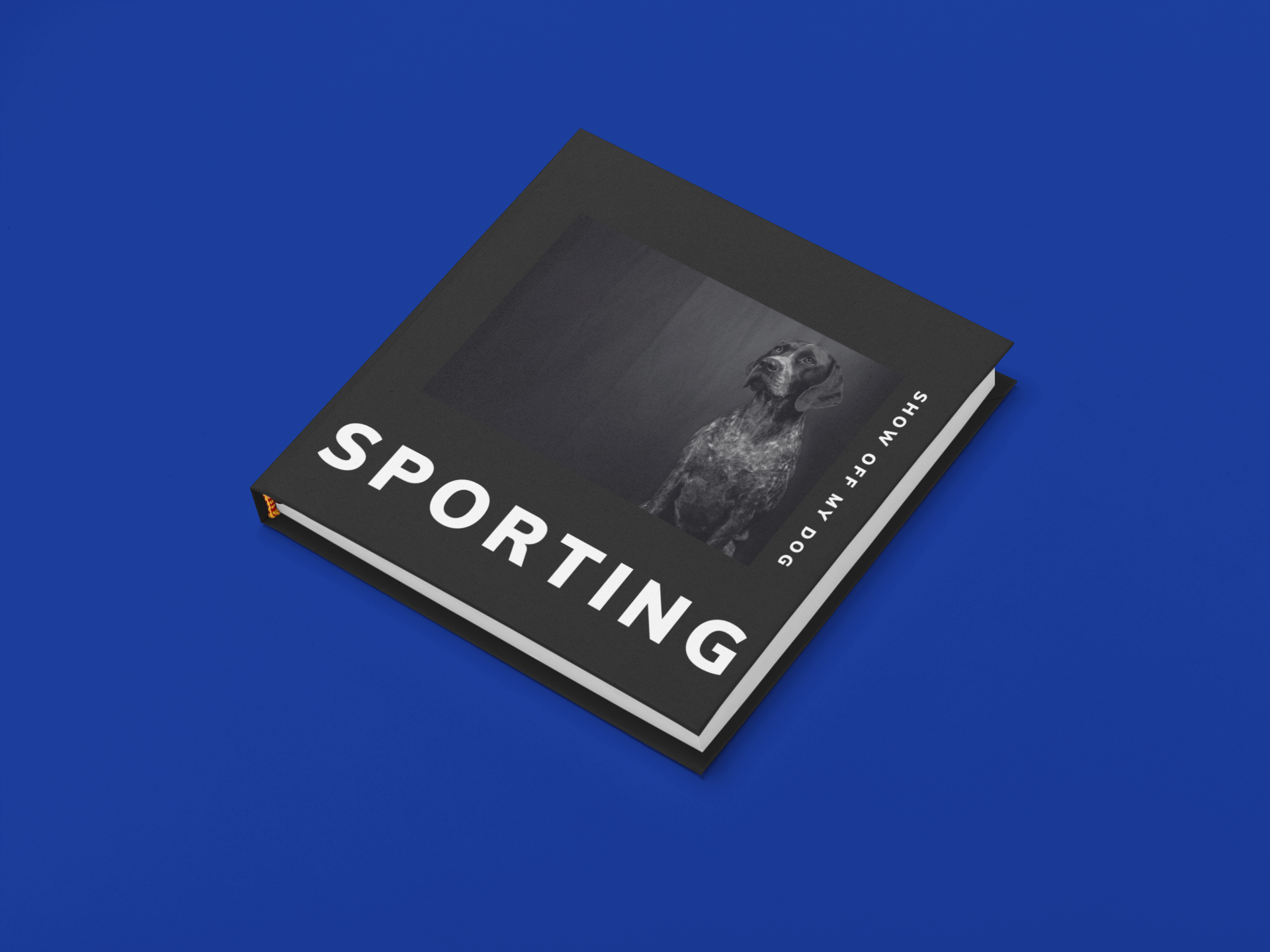 SPORTING